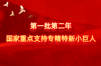 全国仅575家 | 北方CG电子入选第一批第二年国度沉点支持专精特新幼巨人